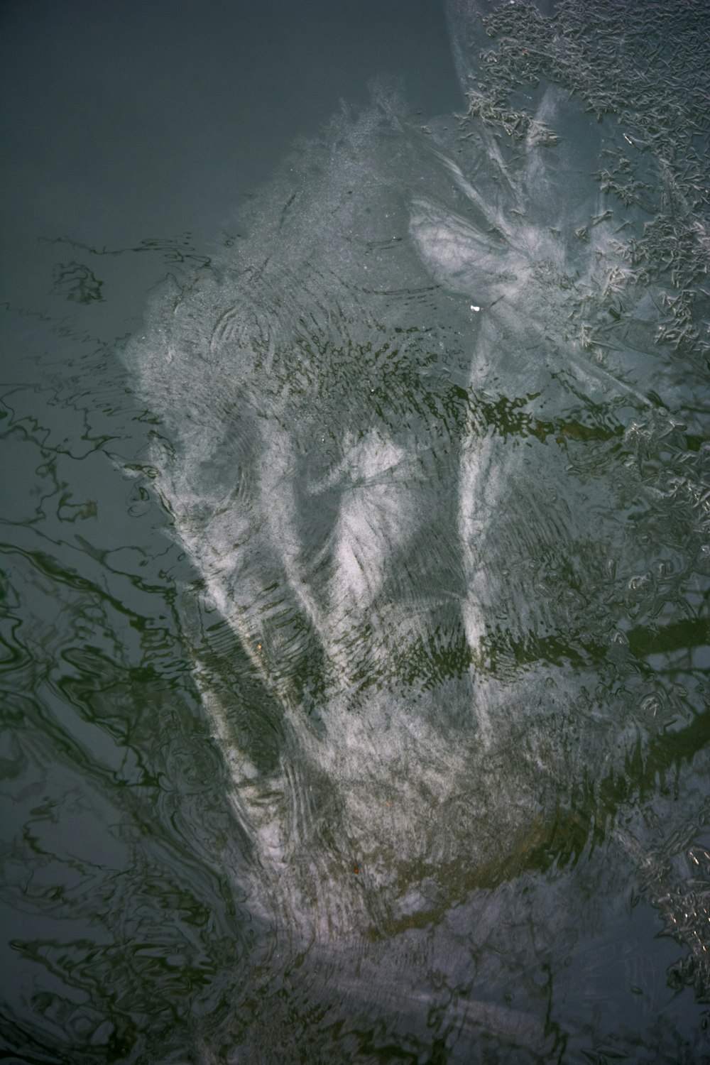 a picture of a body of water that looks like it is floating in the water