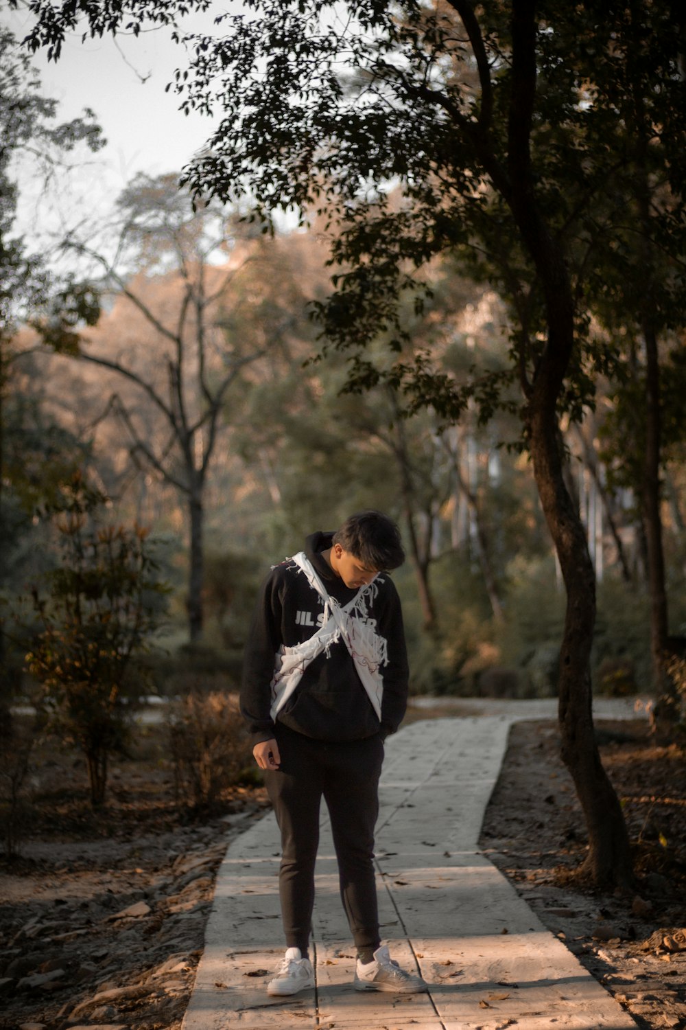 a man standing on a walkway in the woods