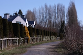 a house is behind a row of trees