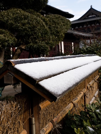 A sturdy, elegant wooden fence bordering a residential property, reflecting attention to detail and durability.