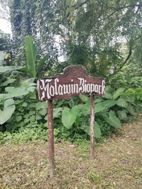 A weathered wooden sign reading 'Molawin Biopark' is surrounded by lush green foliage. Various plant species with broad leaves create a dense, vibrant backdrop, suggesting a natural, tropical environment. The ground is covered with grass and fallen leaves.
