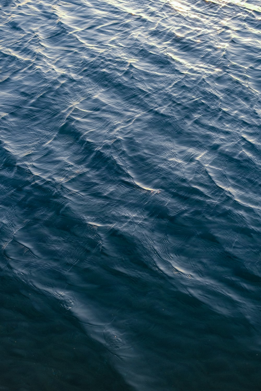 a person riding a surf board on a body of water