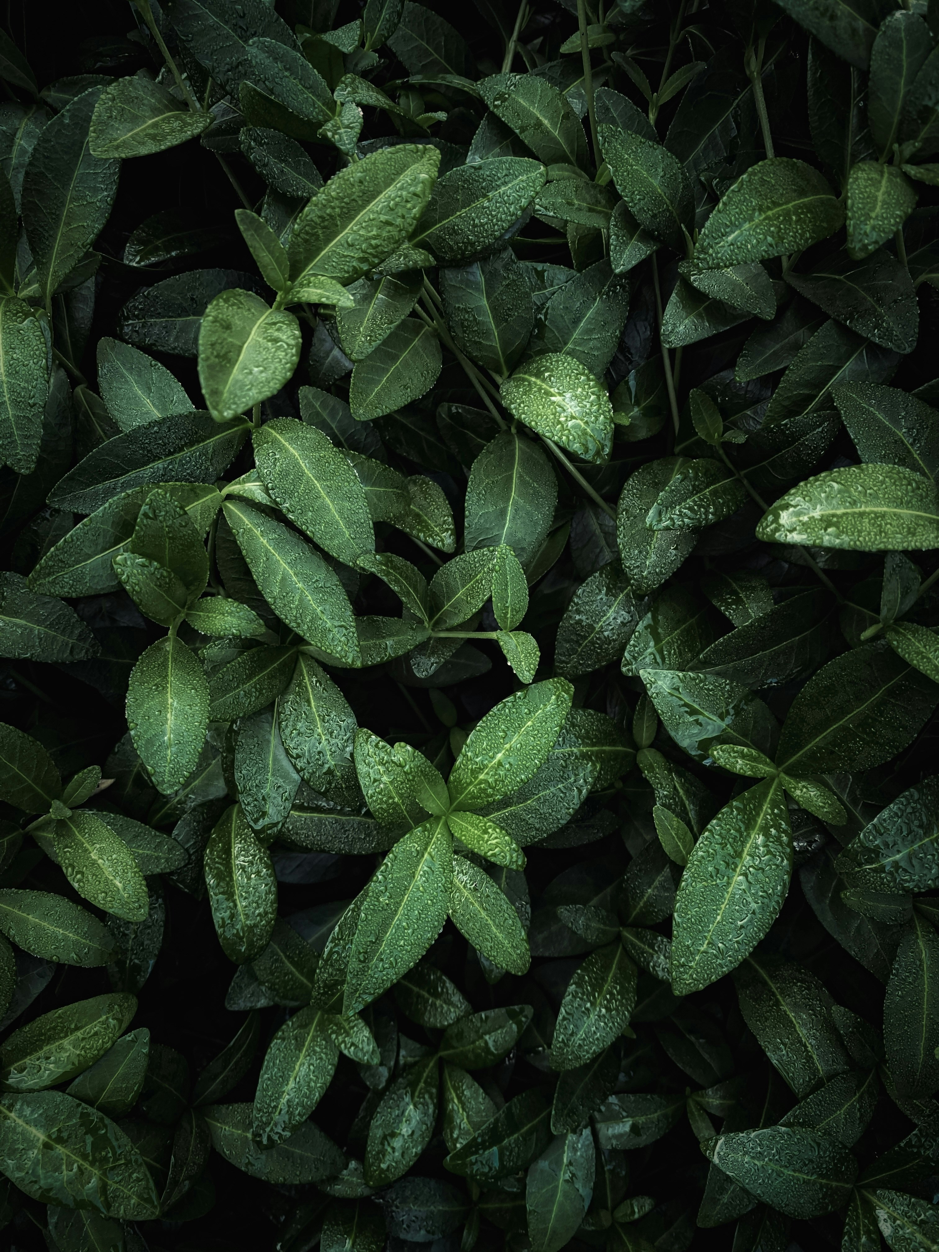 Photo by eugene_golovesov