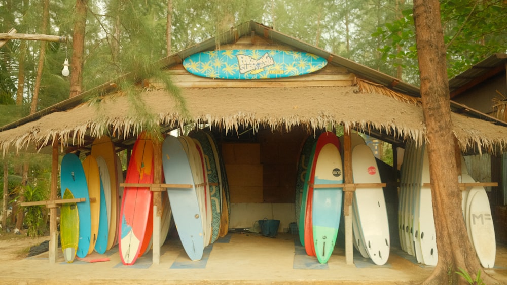 surfboards are lined up in front of a hut