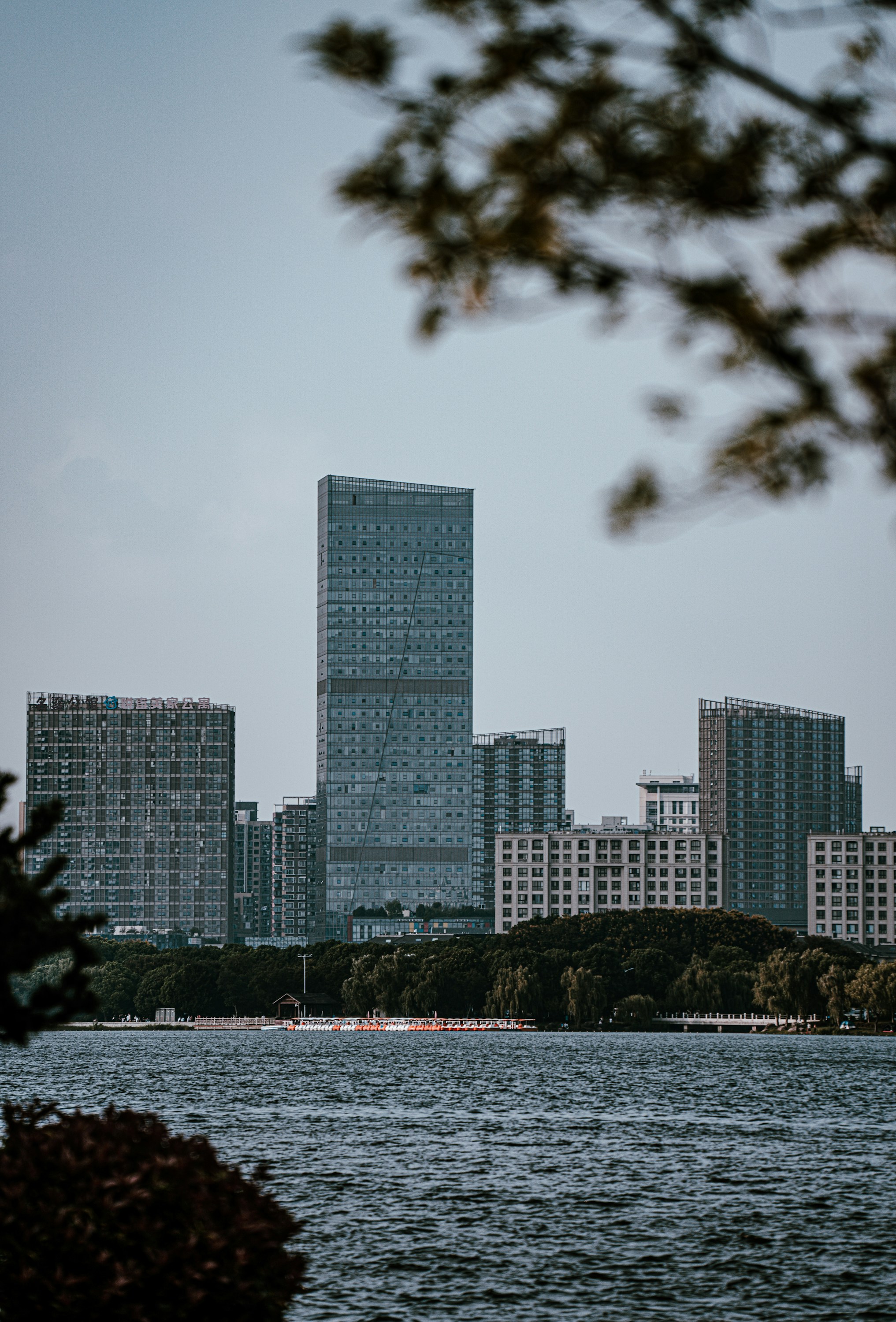 Photo by darklammur