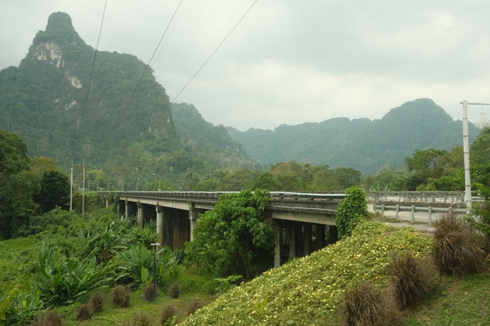 Un treno che viaggia su un ponte su una collina verde lussureggiante