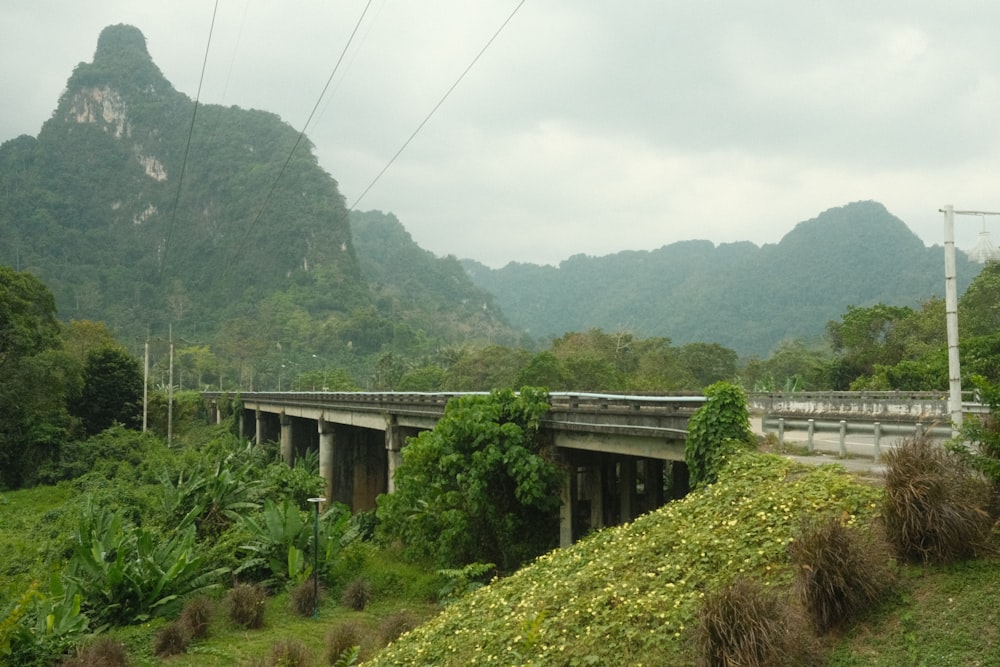 a train traveling over a bridge over a lush green hillside