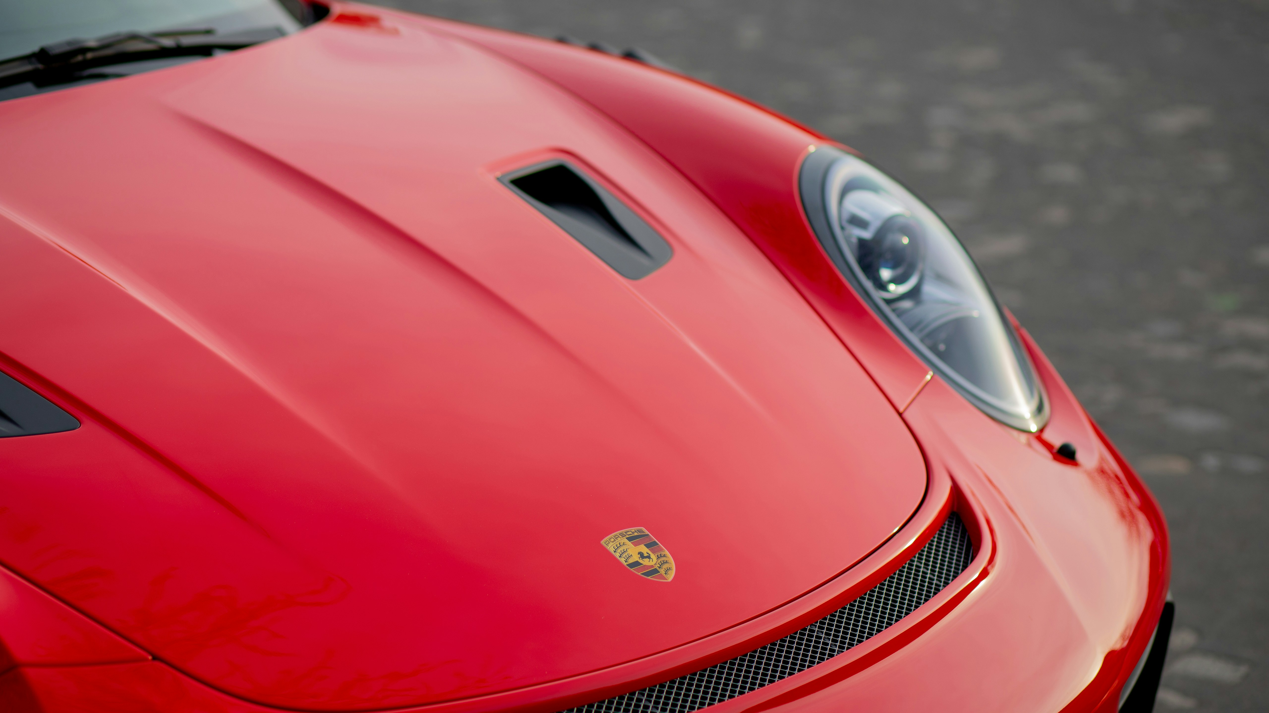 Photo by almeidajorgephotographie