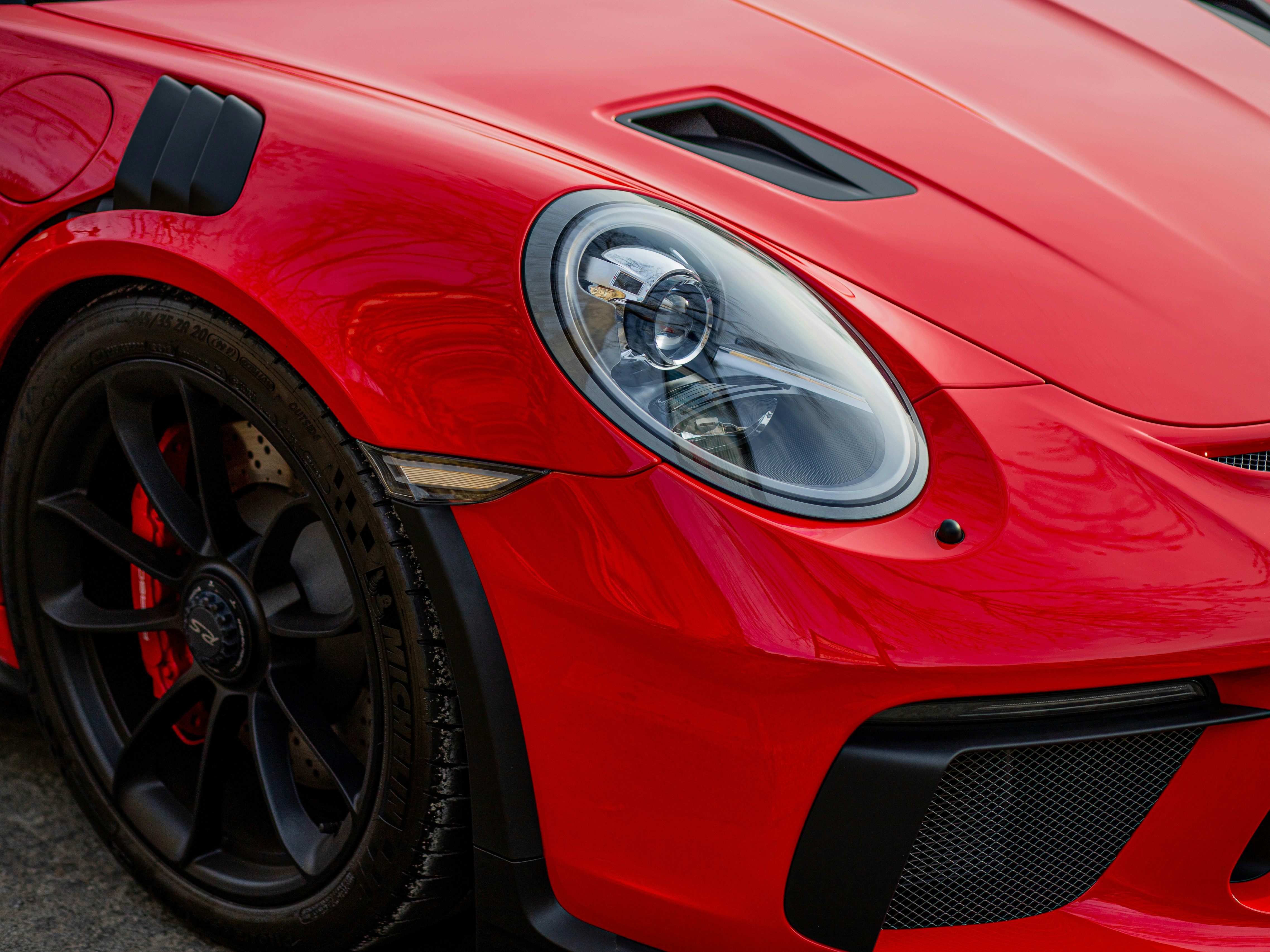 Photo by almeidajorgephotographie