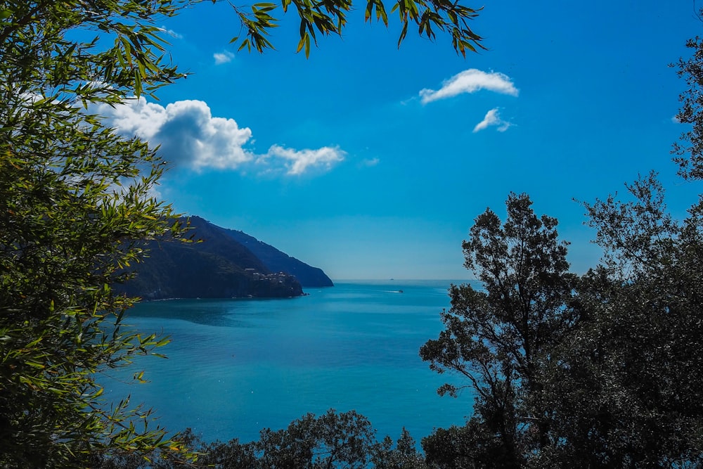 a body of water surrounded by trees and a blue sky