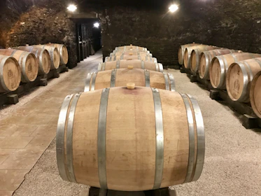 Barrels aging gracefully in Tajna’s climate-controlled cellar.