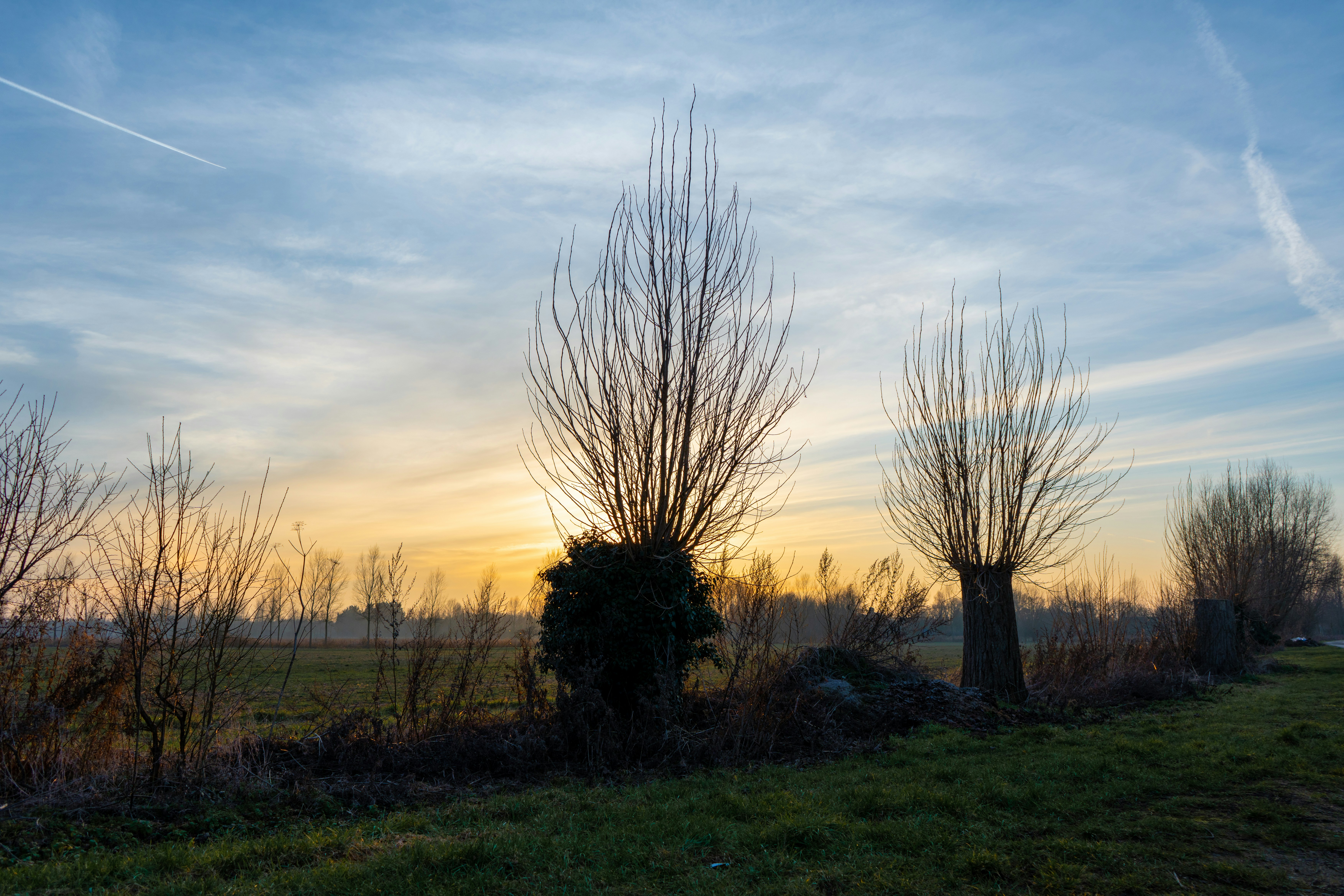 Photo by benjaminelliott