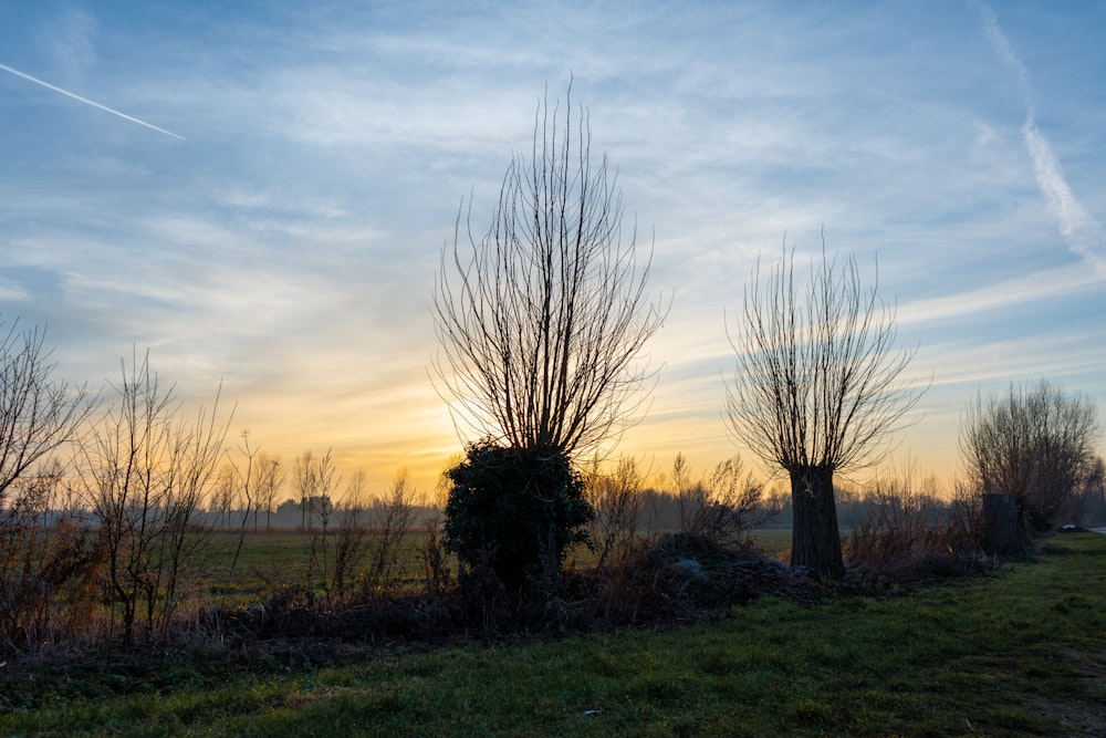 the sun is setting over a grassy field