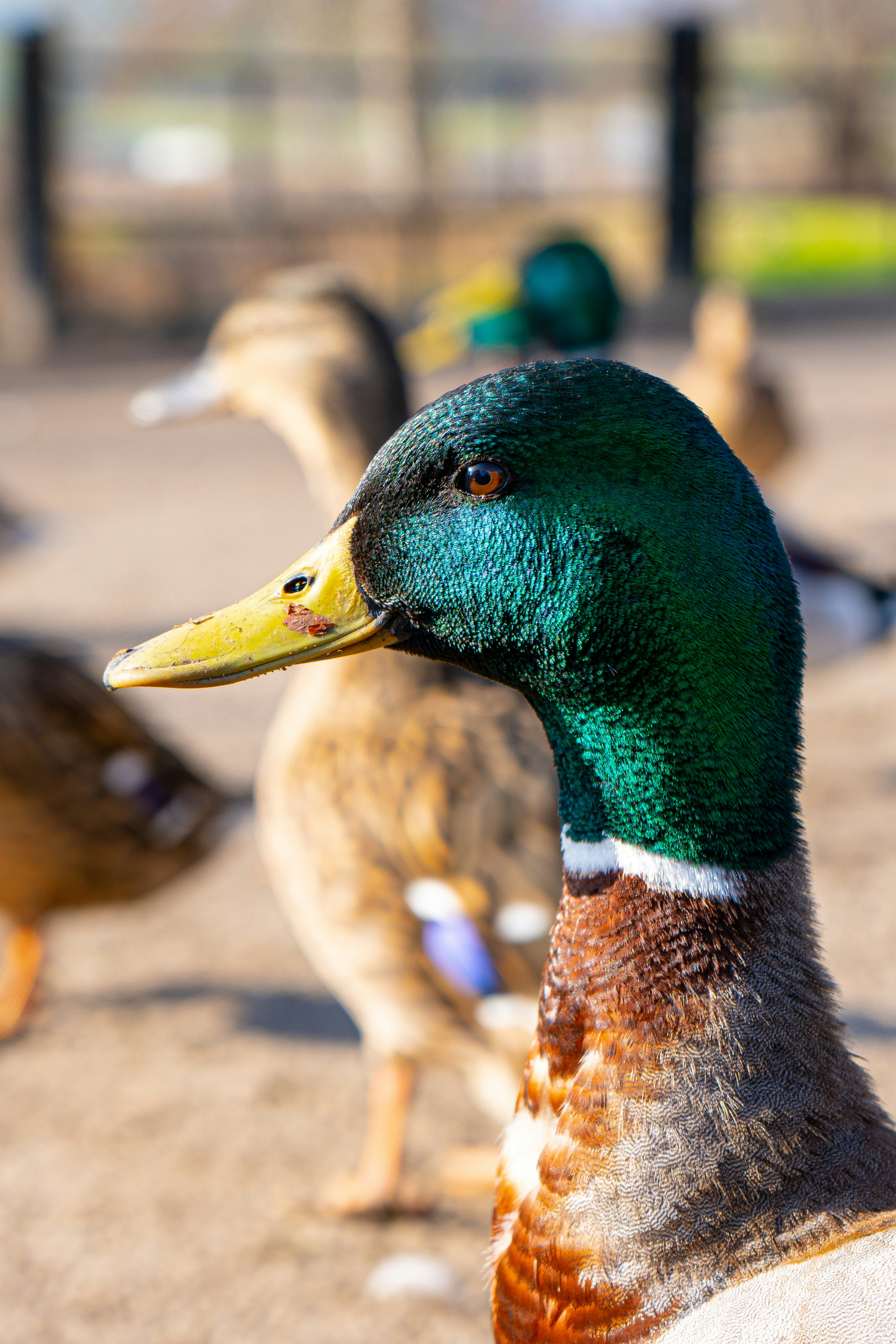 Photo by benjaminelliott