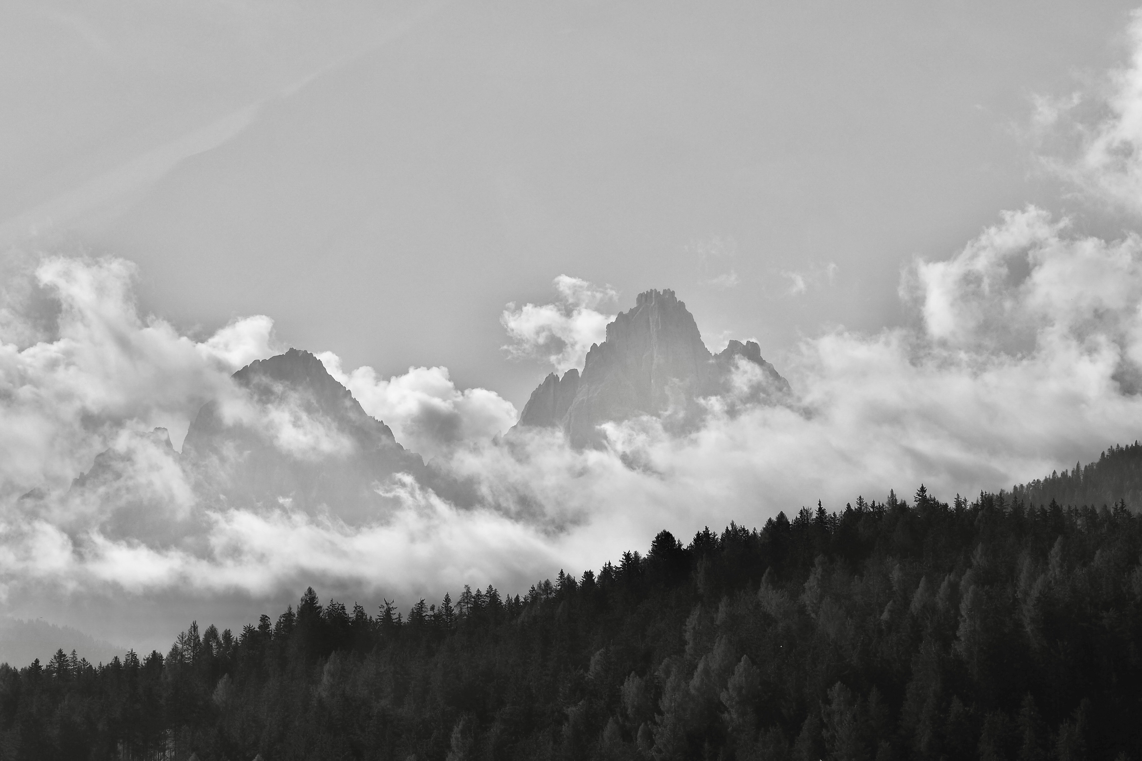 Photo by laurachouette