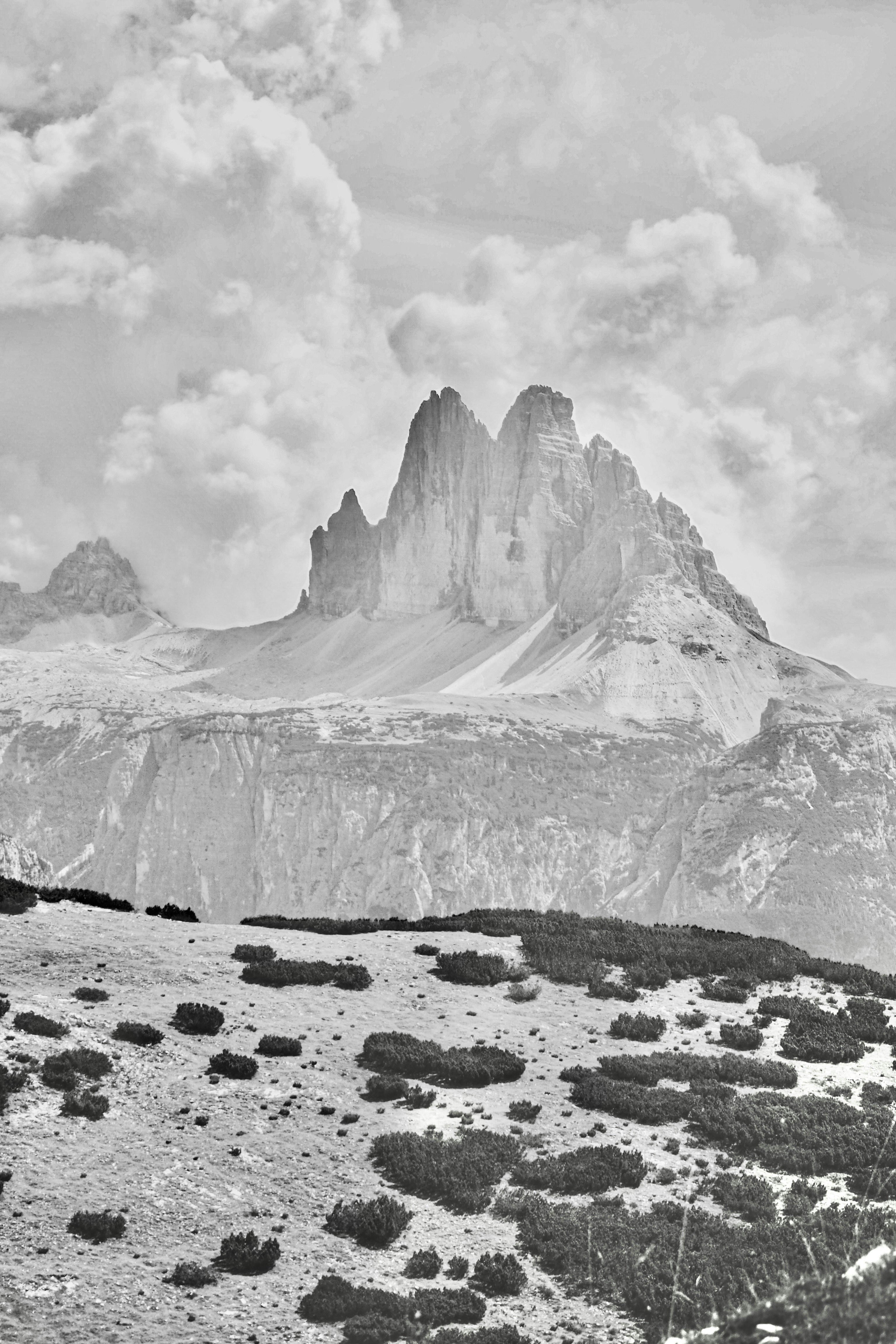 Photo by laurachouette