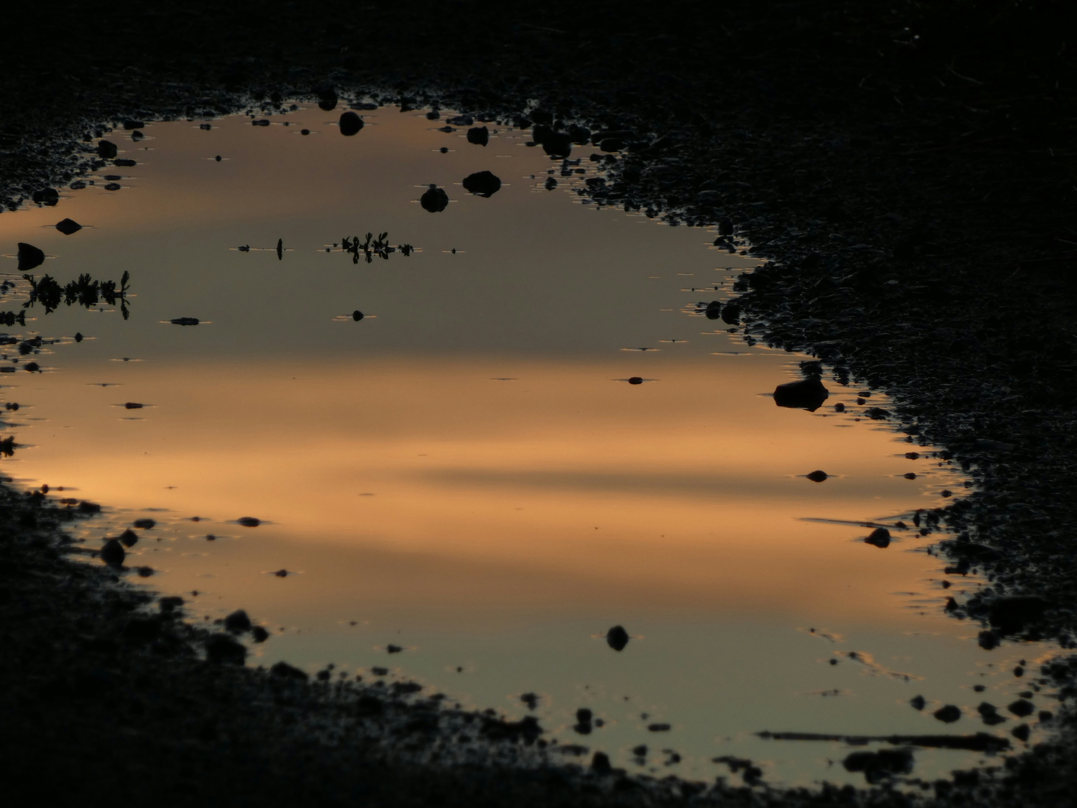 Photo by vinie59