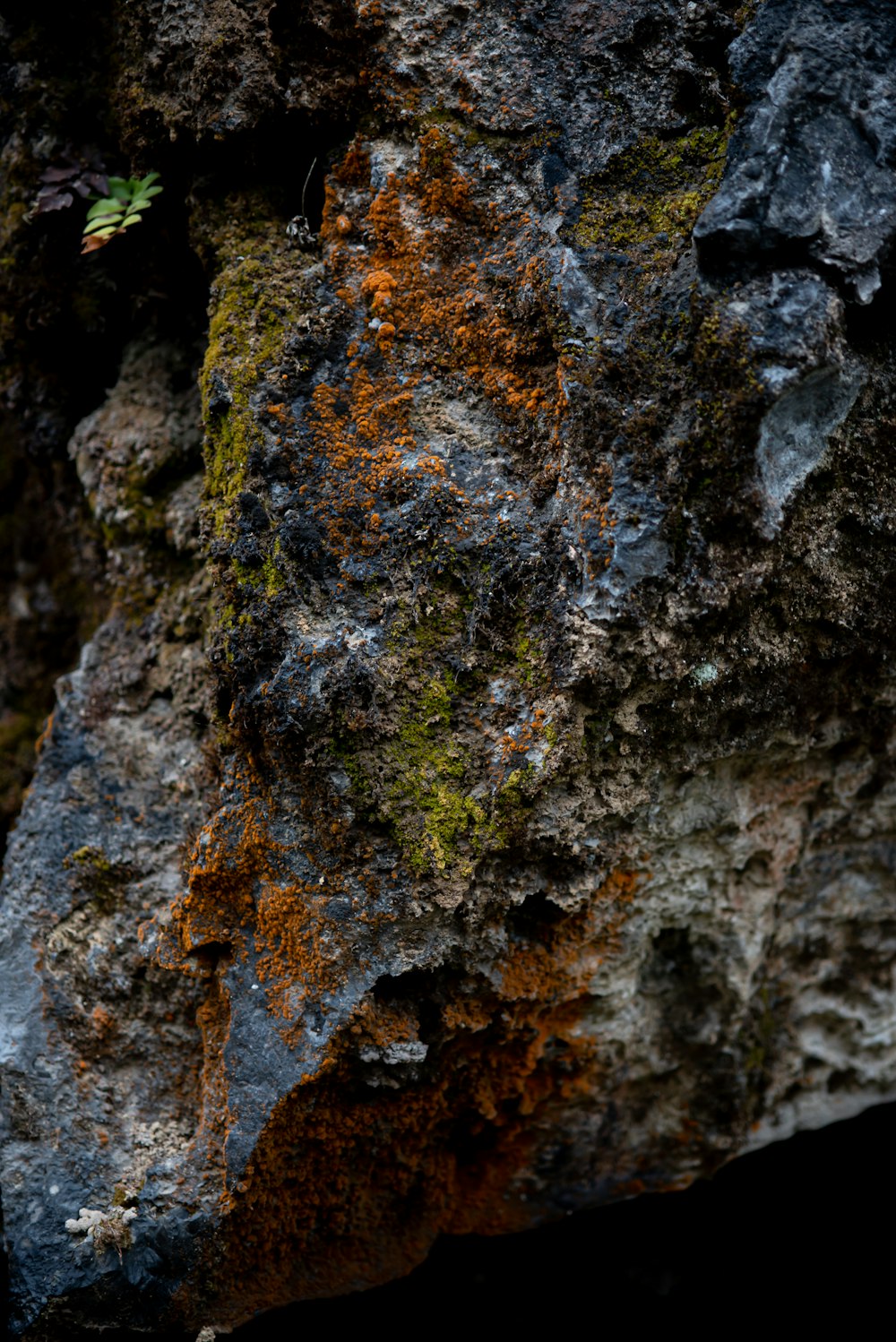 a bird sitting on top of a large rock