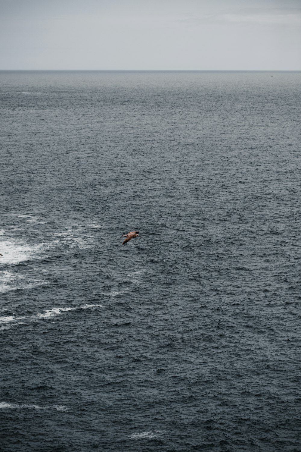 a boat in the middle of a body of water