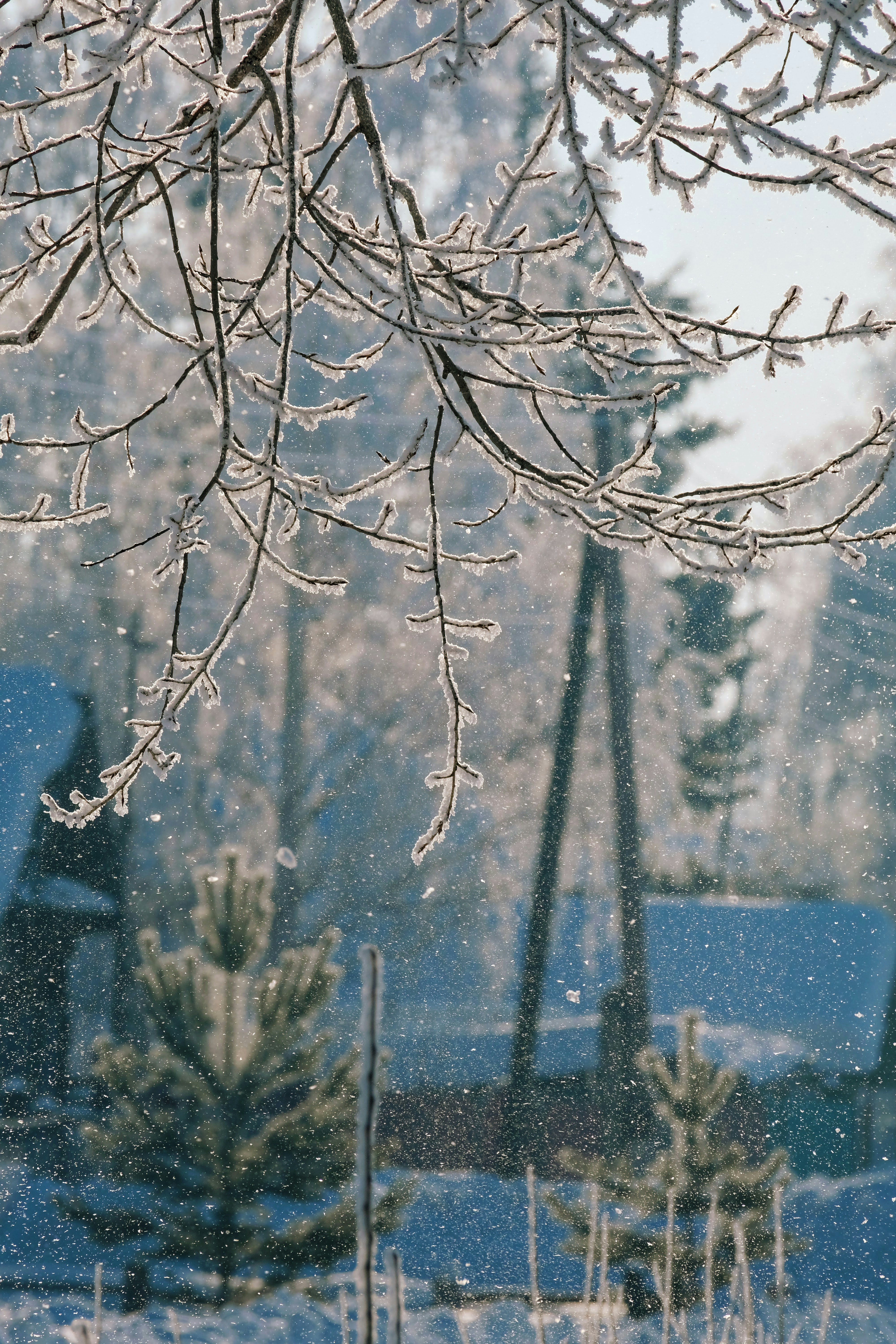 Photo by tanya_kartasheva