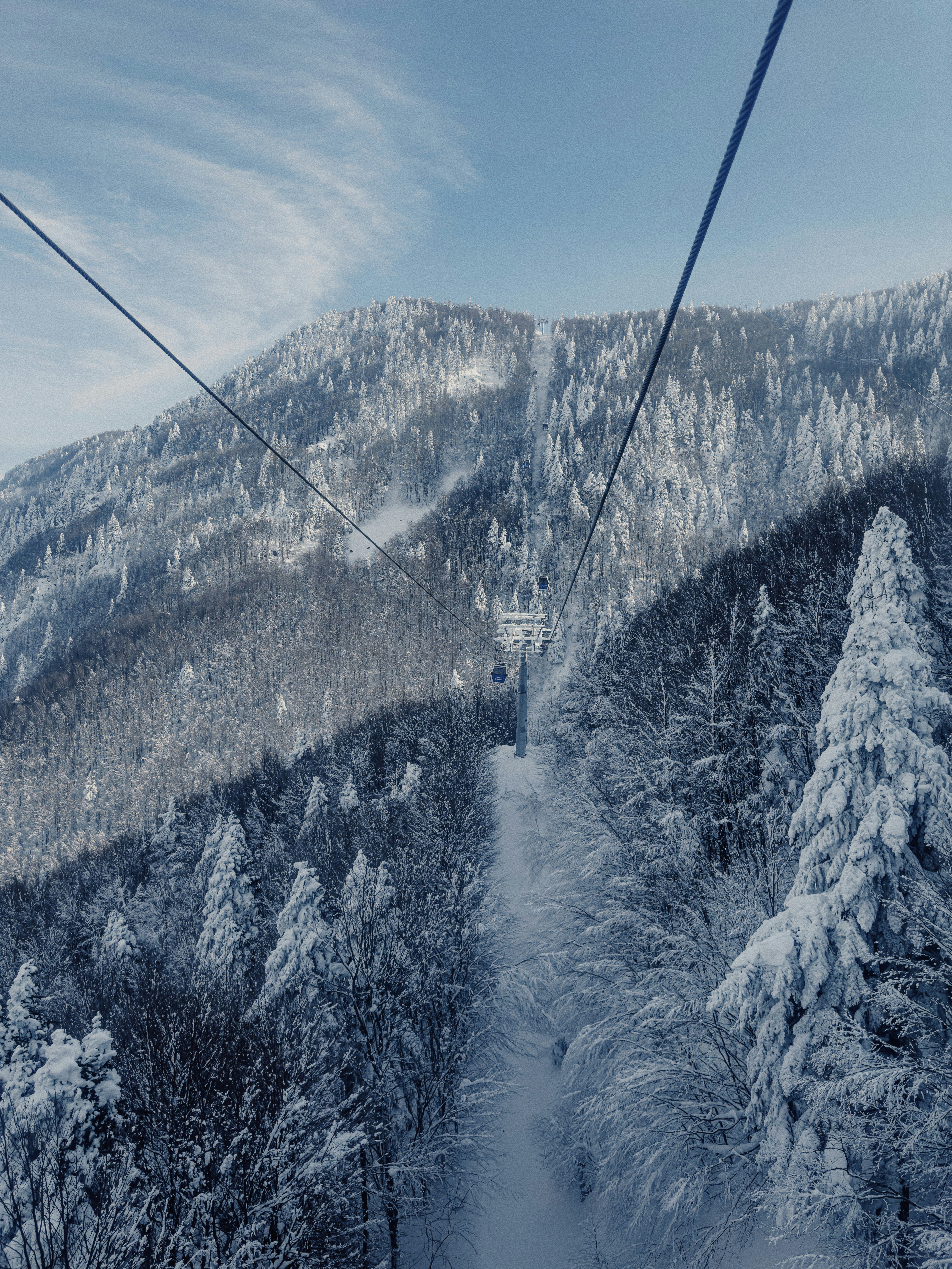 Photo by rustamahunov