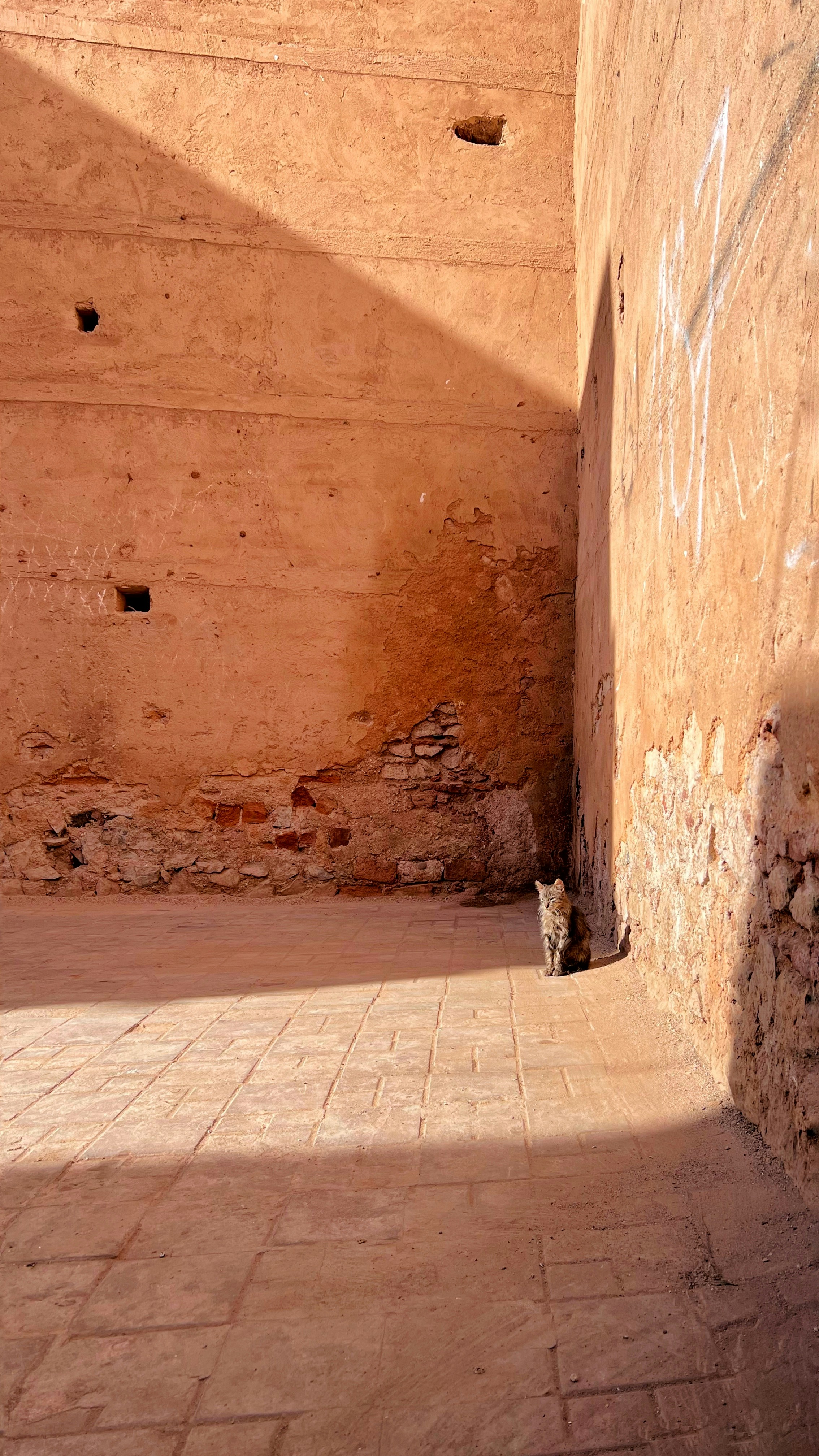 Photo by deividsaenz