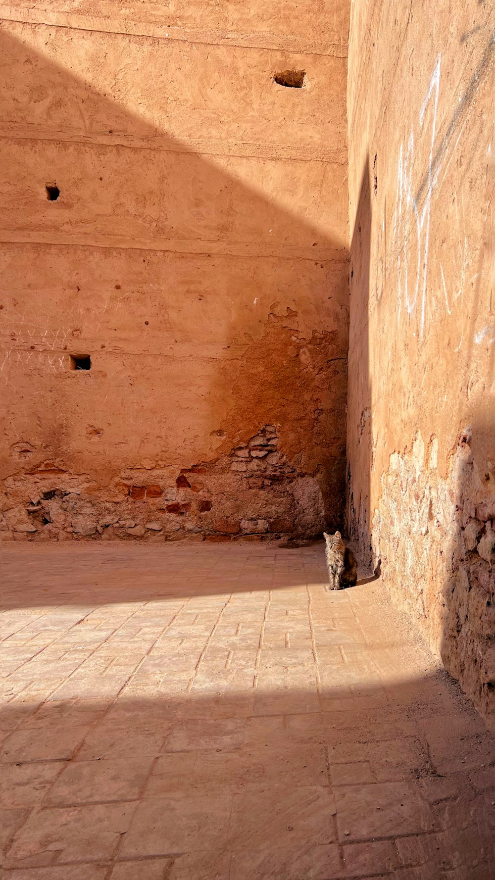 a cat sitting in a corner of a building