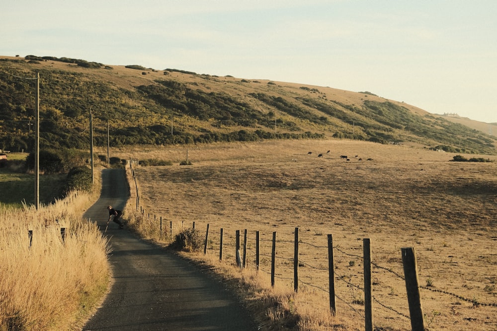 a dog is walking down a dirt road