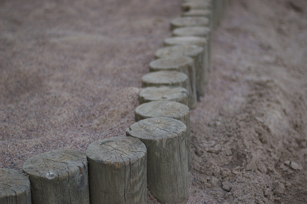 a row of wooden logs sitting on top of a sandy ground