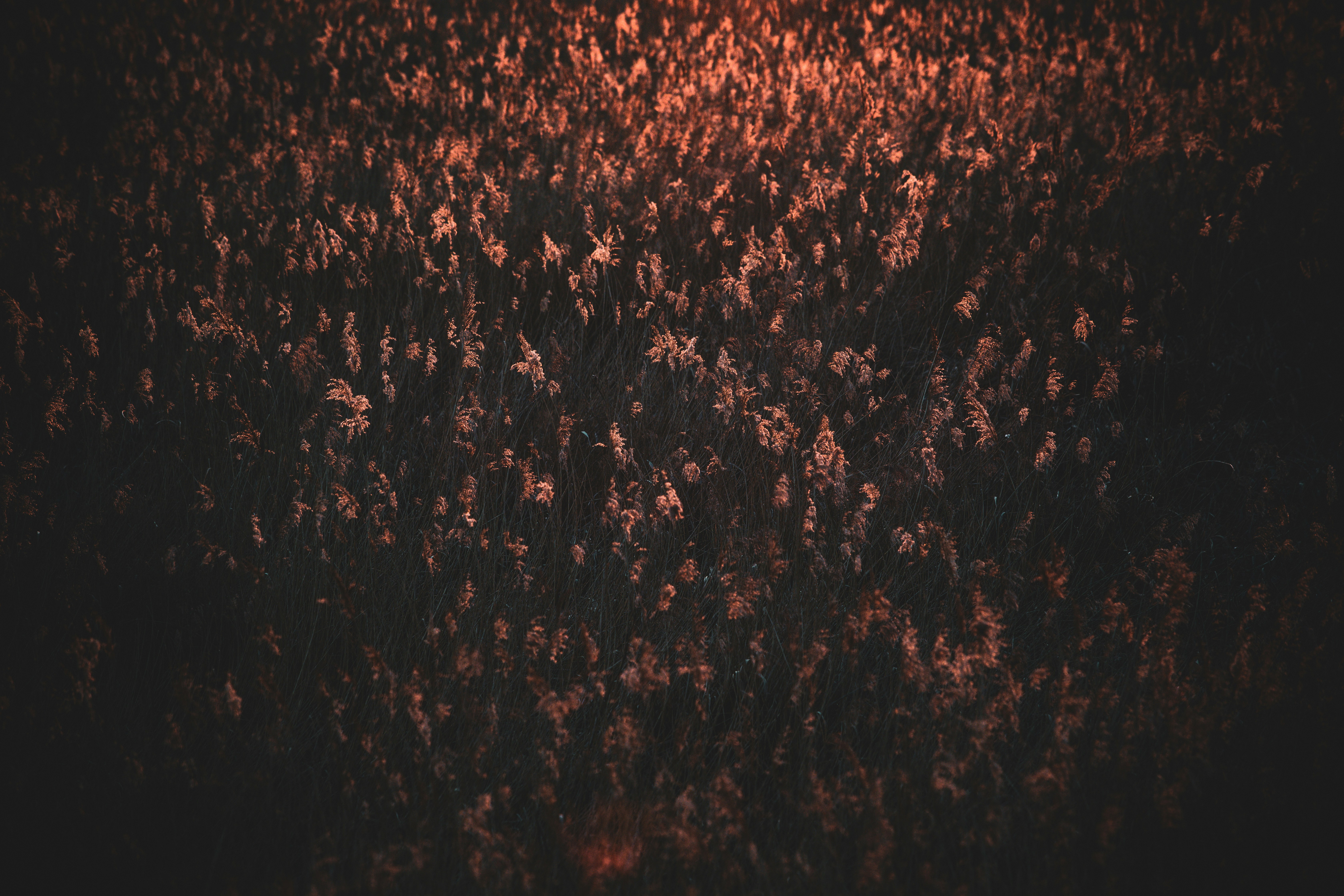 Photo by mikejerskine