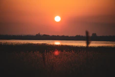 A vibrant sunset casting warm orange hues over a calm lake surrounded by trees.