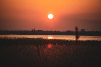 A vibrant sunset casting warm orange hues over a calm lake.
