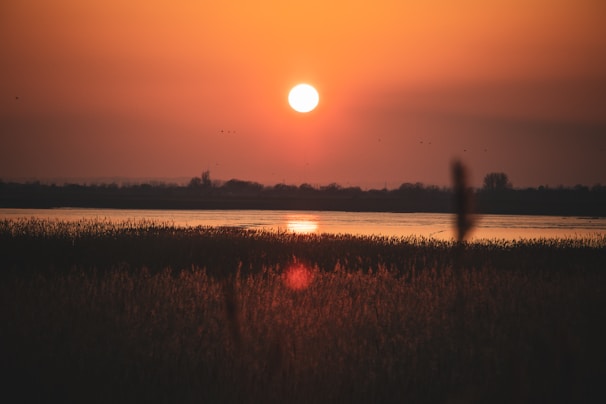 A vibrant sunset casting warm orange hues over a calm lake.