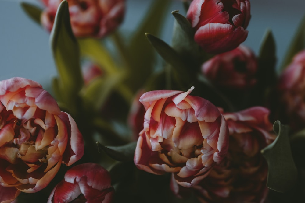 a bunch of flowers that are in a vase