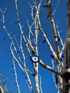 A leafless tree adorned with numerous blue and white evil eye charms against a clear blue sky. The charms hang from the branches, creating a striking contrast with the natural bark.