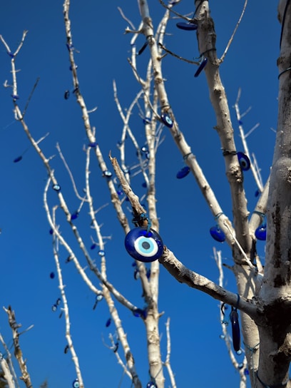A leafless tree adorned with numerous blue and white evil eye charms against a clear blue sky. The charms hang from the branches, creating a striking contrast with the natural bark.