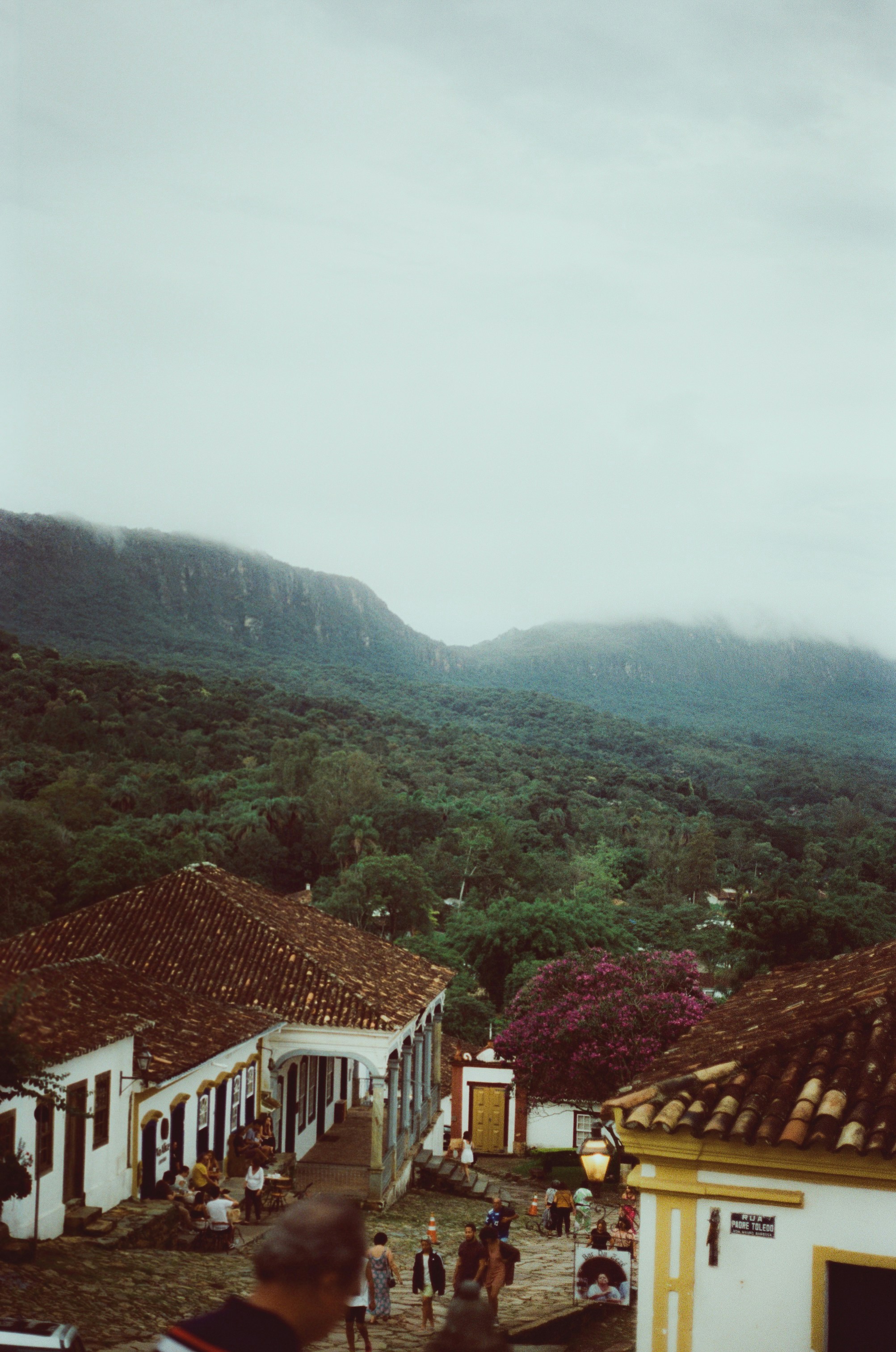 a group of people walking down a street next to a lush green hillside