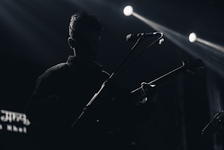 A silhouette of a musician holding an electric guitar, standing under spotlight illumination. The background is dark, with visible beams of light and a microphone positioned near the musician's face.