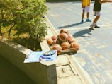 A collection of basketballs is tightly secured in a net, resting on a blue outdoor basketball court. Nearby, two individuals in athletic clothing are partially visible, suggesting a casual or practice environment. A concrete ledge has a clipboard with a basketball strategy diagram, a stopwatch, and a highlighter placed on it. Greenery borders one side of the court, indicating an outdoor setting.