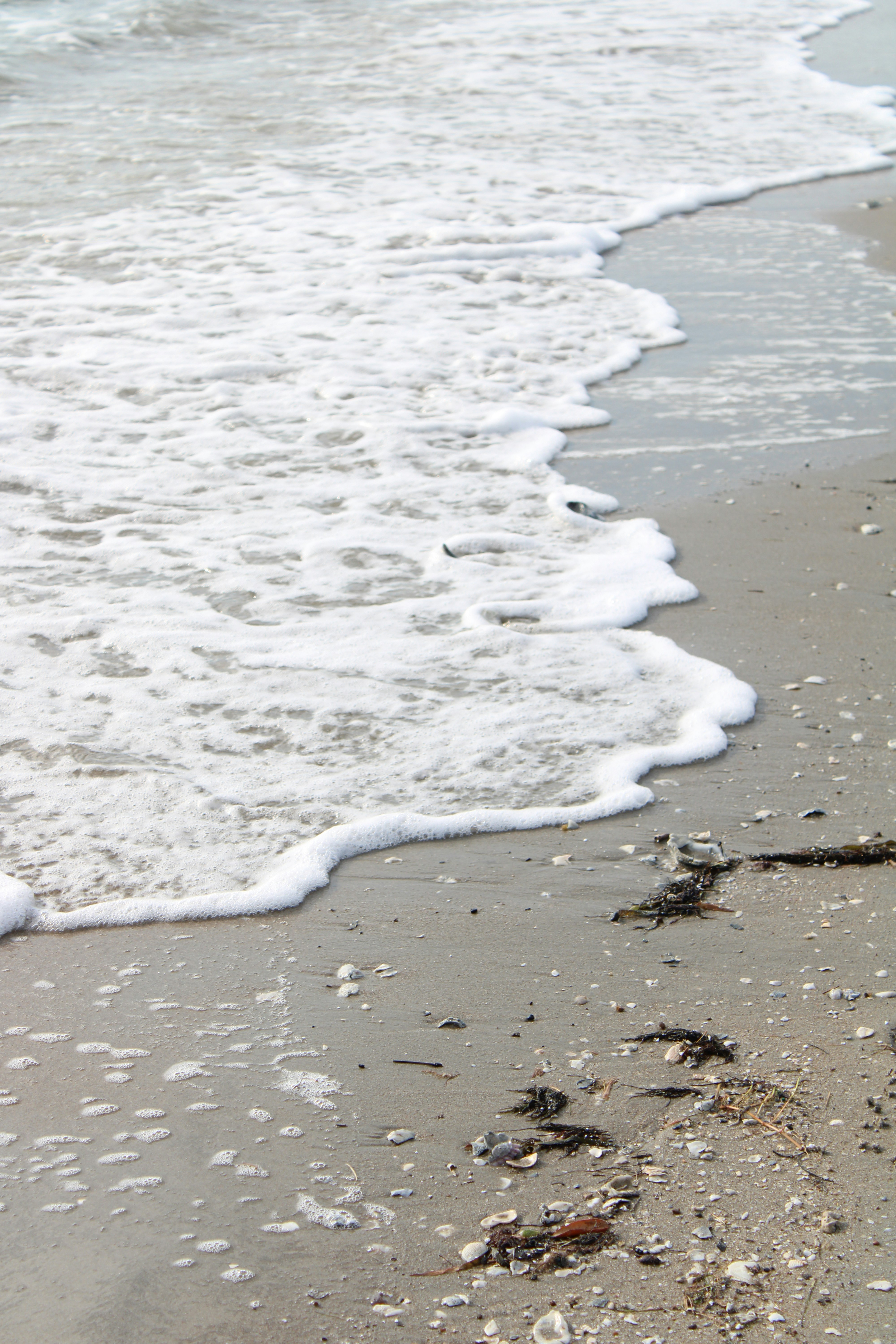 Photo by marie_martin1