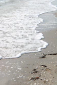 Soft waves gently washing over smooth sand with scattered seashells.