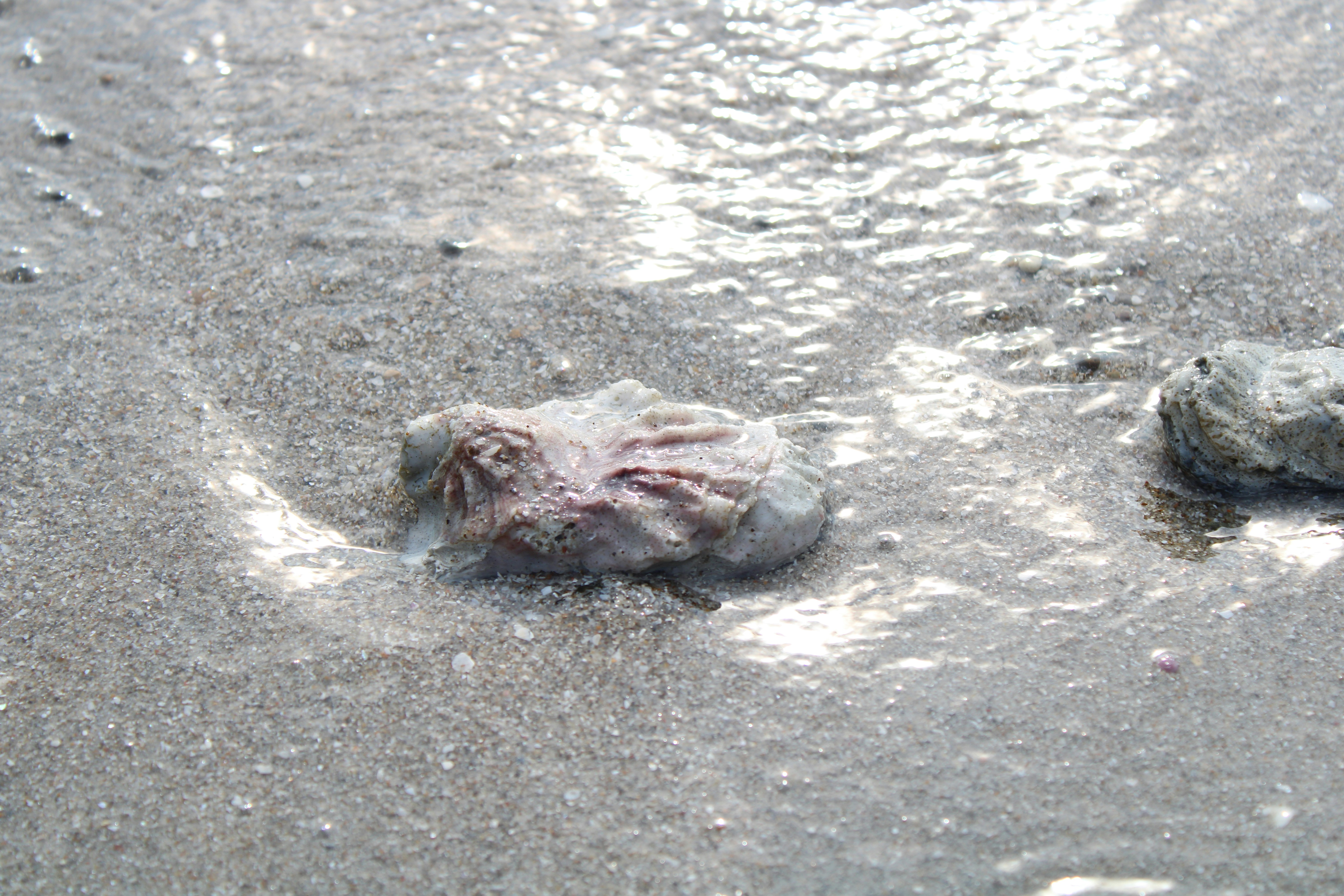 Photo by marie_martin1