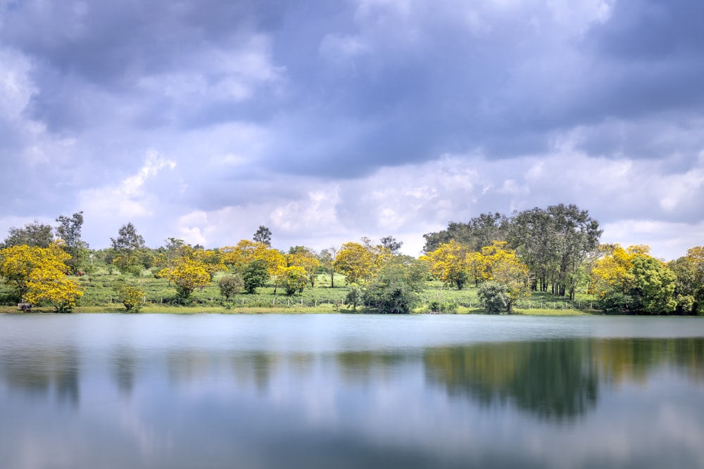 un grande specchio d'acqua circondato da alberi