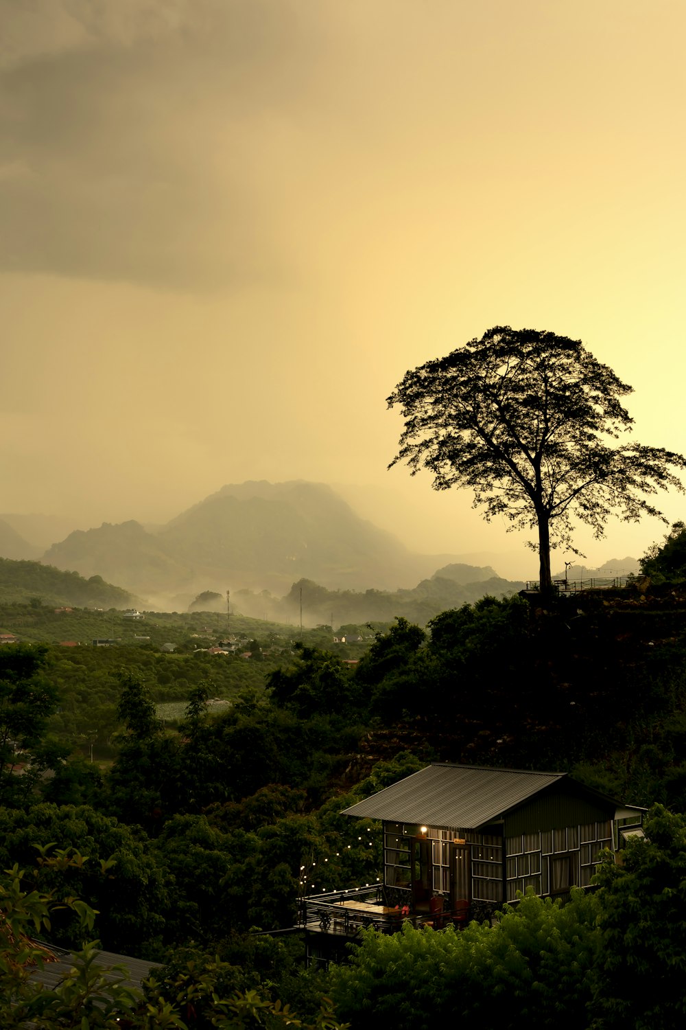 a house on a hill with a tree in the foreground