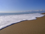 A serene beach scene with saltwater and gentle waves.