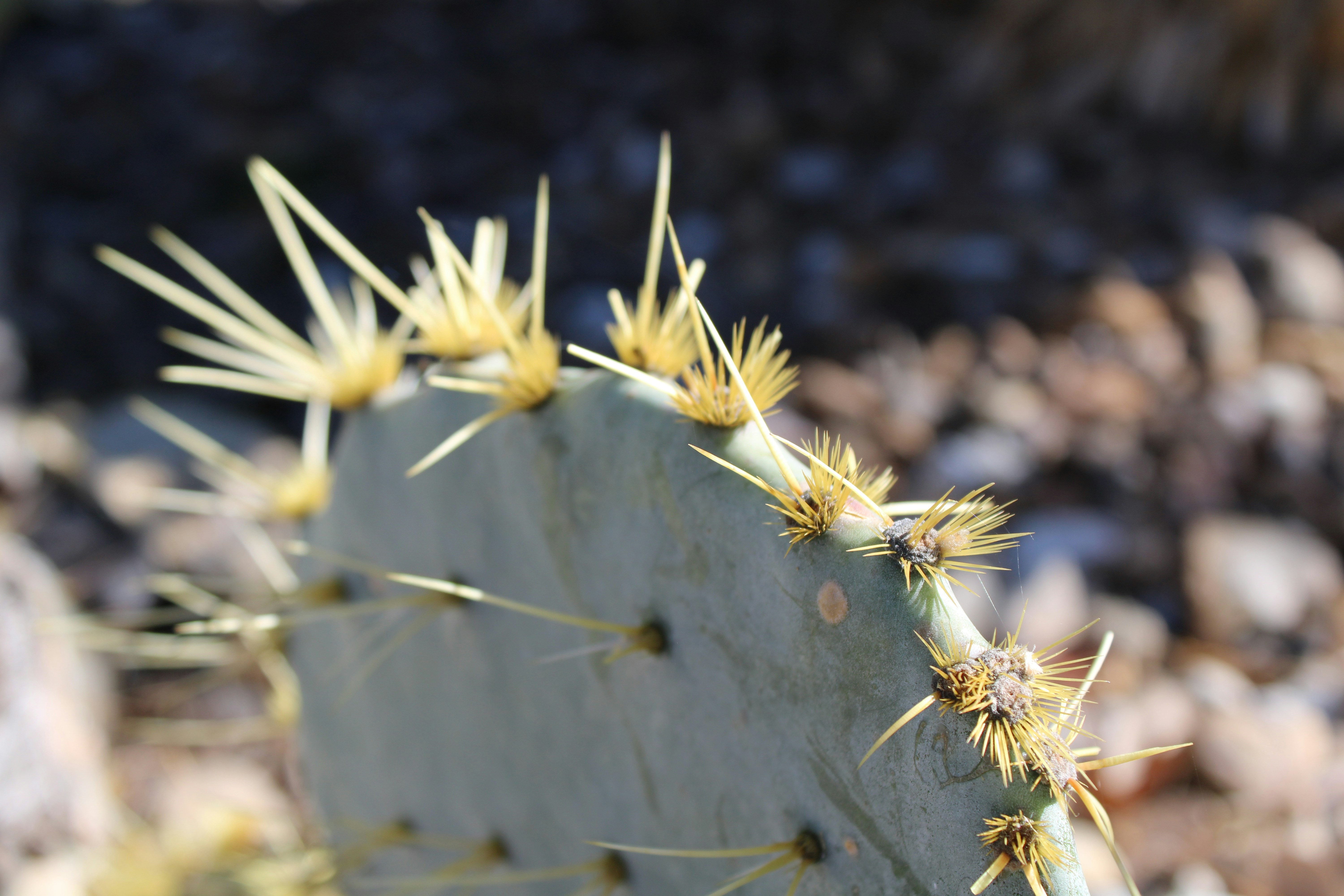 Photo by marie_martin1