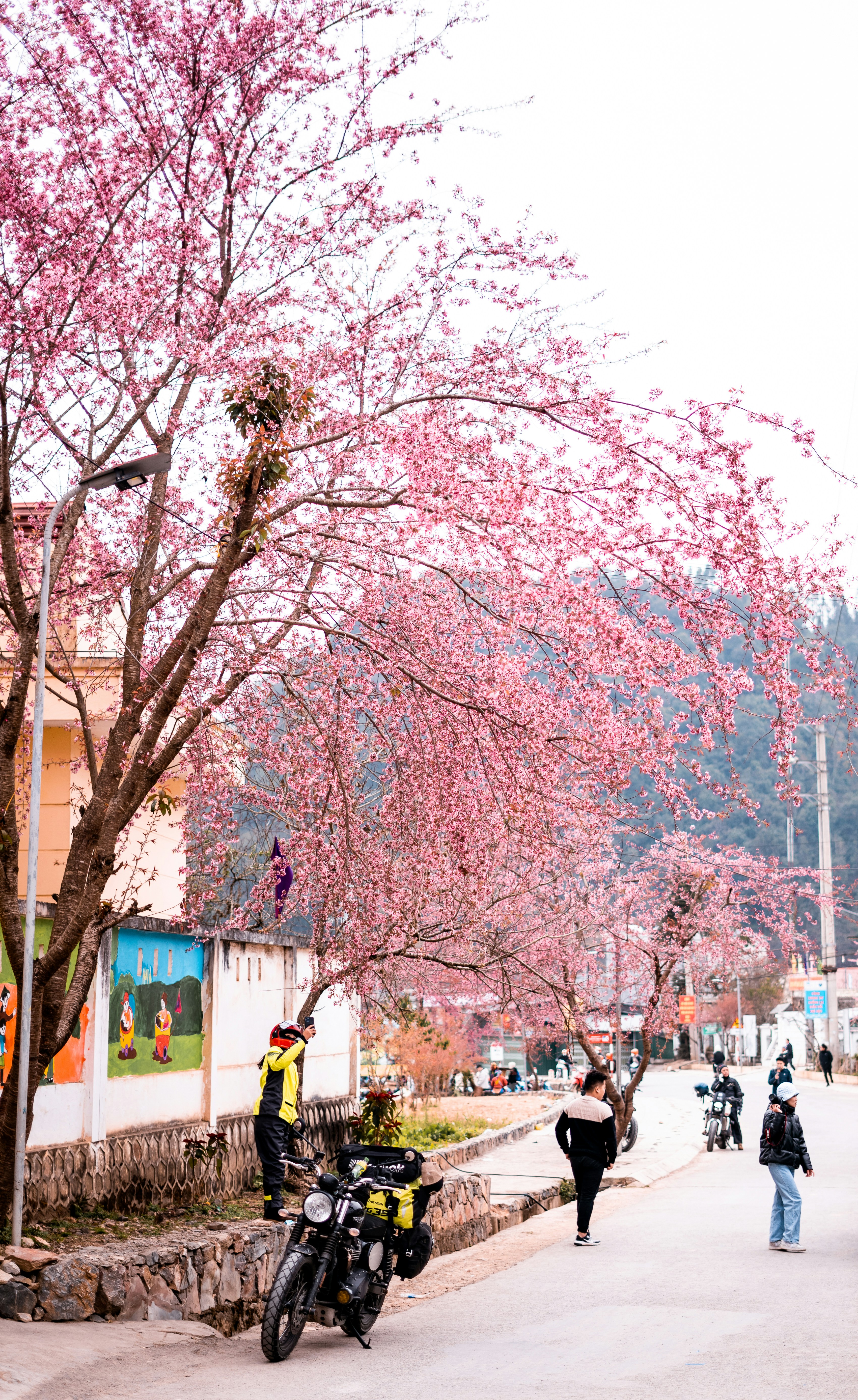 Photo by trung_nguyen22