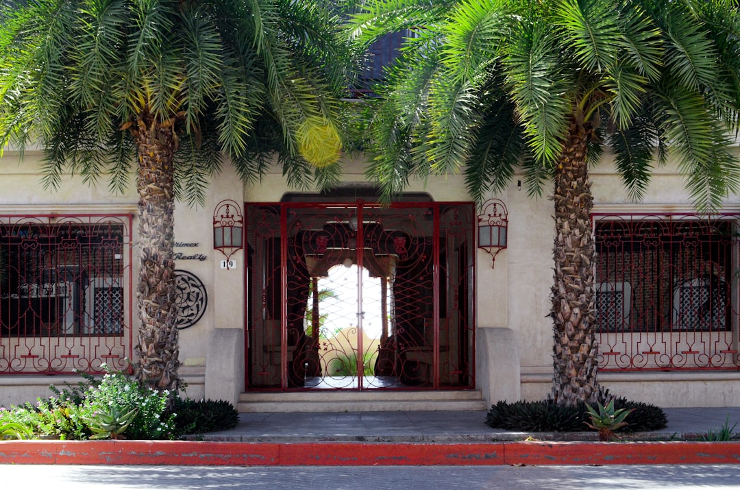 a building with a bunch of palm trees in front of it,