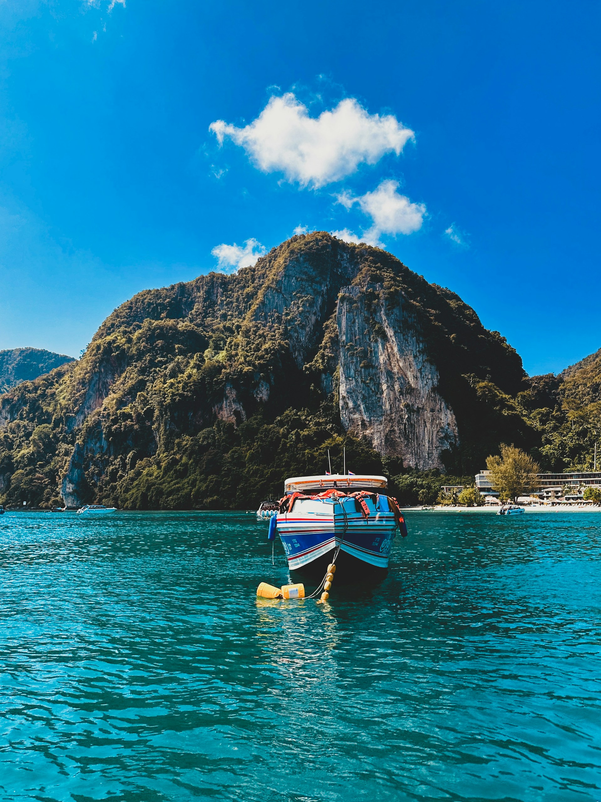 black and brown leather padded tub sofa