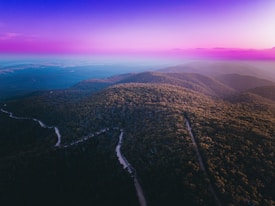 A scenic aerial view of rolling hills covered with dense forest, illuminated by warm light. The sky transitions from a rich purple to a gentle pink, enhancing the tranquil atmosphere. Winding roads cut through the greenery, leading the viewer's eye through the landscape.